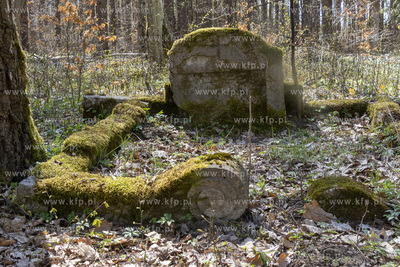 Dawny cmentarz ewangelicki w lesie w Żuławce w gminie...