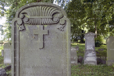 Największy w Polsce, wpisany w 1988 roku do rejestru...