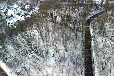 Cmentarz komunalny Salvator Nowy przy ulicy Cmentarnej...