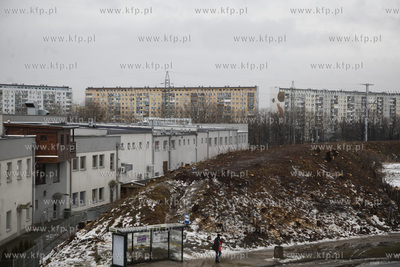 Wycinka drzew pod budowe trasy Pomorskiej Kolei Metropolitalnej...