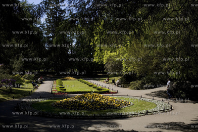 Park Oliwski.
11.06.2015
fot. Krzysztof Mystkowski...