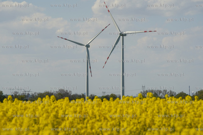 Farma wairtowa Bystra Grupy Energa zlokalizowana na...