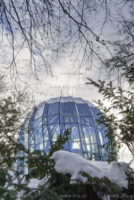 Park Oliwski zimą. Palmiarnia 12.02.2021 fot. Paweł...