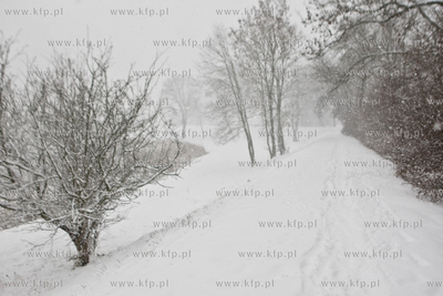 Zima w Gdansku, obfite opady sniegu na teranach spacerowych...