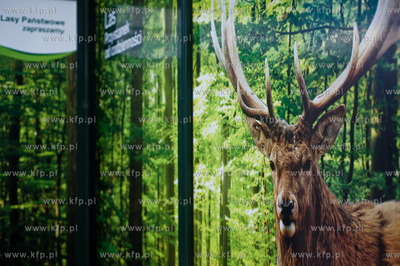 Gdansk. Wiata przystanku autobusowego Dworzec Glowny...