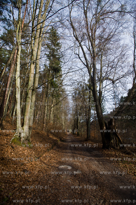 Gdansk. Oliwa, Trojmiejski Park Krajobrazowy. Sciezka...
