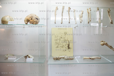 Muzeum Archeologiczne w Gdańsku. Konferencja prasowa...