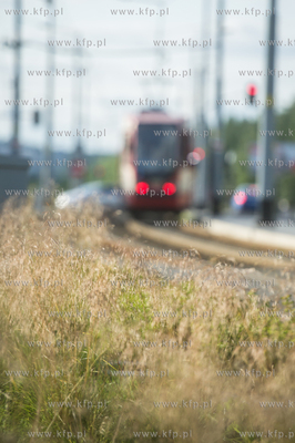 Gdańsk. Morena. Linia tramwajowa Piecki - Migowo....
