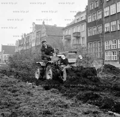 Jesienne prace przy plantowaniu zielenca na skwerze....