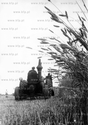 Zniwa na Pomorzu. 
1950
odb_08_10_13
Fot. Zbigniew...