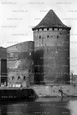 Stagwie Mleczne na u. Stagiewnej nad Motlawa na wyspie...