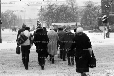 Przejście dla pieszych na Wałach Jagiellońskich...