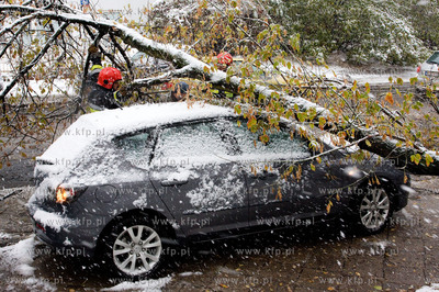 Nagly atak zimy w Warszawie.  Powalone drzewa na ulicy...