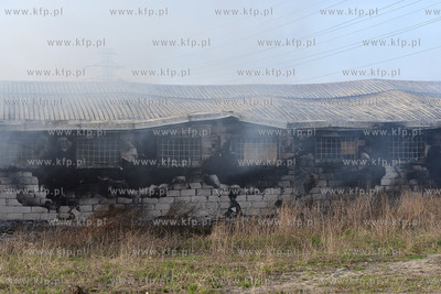 Pozar malarni firmy Indusco przy ul. Hutniczej w Gdyni,...