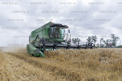 Żniwa we wsi Lignowy w powiecie Tczewskim na Kociewiu.
30.07.2019...