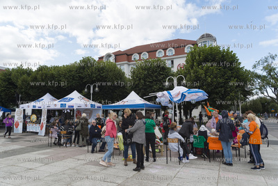 Skwer Kuracyjny. XVII Sopocki Festyn Organizacji Pozarządowych....