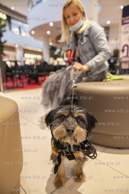 46. Festiwal Polskich Filmów Fabularnych w Gdyni....