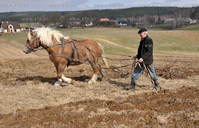 Wiosenne prace rolne przy uzyciu konia w Sulminie na...