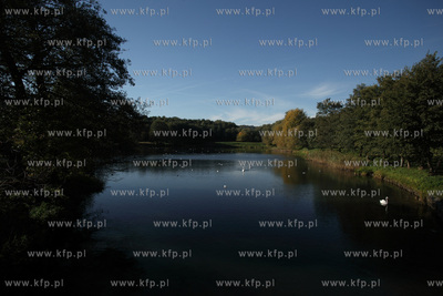 Gdansk Oliwa. Rozlewisko potoku oliwskiego.
18.10.2012
fot....