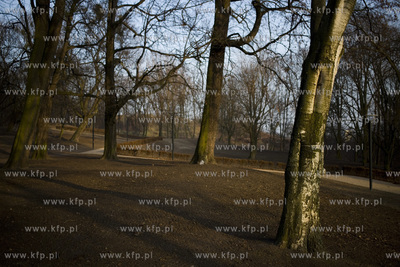 Rewitalizacja parku przy ul. Dąbrowskiego w Gdańsku.
21.12.2016
fot....