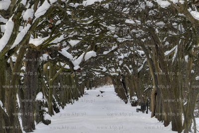 Park Oliwski zimą. 12.02.2021 fot. Paweł Marcinko...