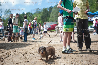 Gdynia Kolibki. Adventure Park. Festyn Edukacyjny pt....