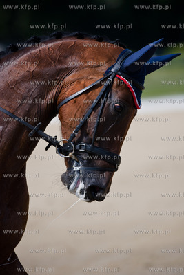 Sopot. Hipodrom. Miedzynarodowe Zawody we Wszechstronnym...