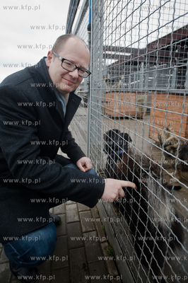 Gdansk. Schronisko dla bezdomych zwierzat Promyk. Akcja...