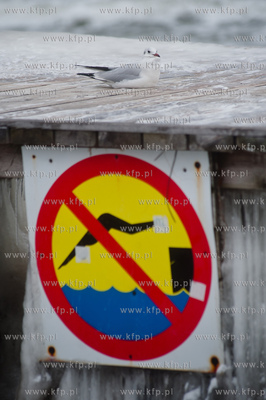 Mrozne, zimowe popoludnie na plazy w Sopocie.
26.01.2014
fot....
