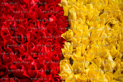 Mokry Dwor. Przygotowania do kolejnej edycji imprezy...