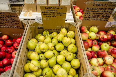 Gdansk. Hala postoczniowa przy ul. Doki 1. BioBazar...