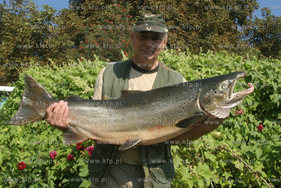 Wlodzimierz Flis z Kolobrzegu zlapal troc o wadze 14,7...