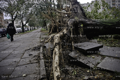 Przewalone ploty i wyrwane z korzeniami drzewa to skutek...