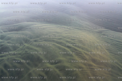 Ujscie Wisly do morza. Do Baltyku trafila zanieczyszczona...