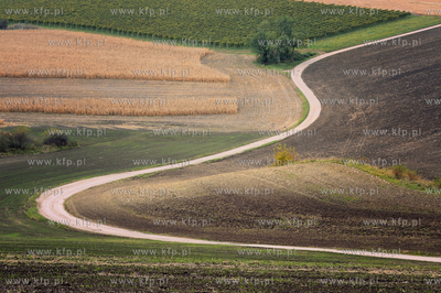 Morawy. Czechy. Okolice miejscowosci Kijev. Nz. pola...