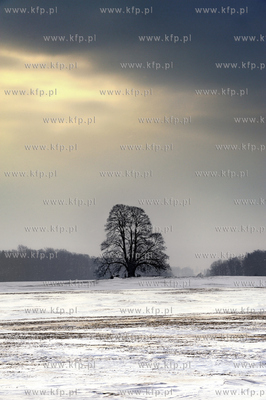 Zima w okolicach Wladyslawowa
26.01.2010
Fot.Jan...
