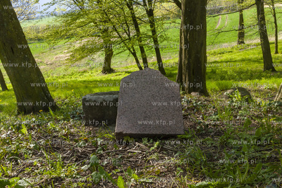 Podworski park w Arciszewie w Gminie Pruszcz Gdański....