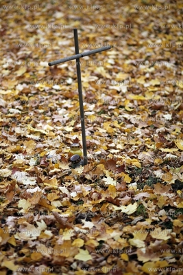 Gdynia Kolibki. Cmentarz.
24.10.2012
fot. Krzysztof...