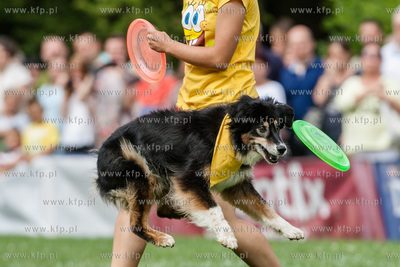 Sopot. Łazienki Połnocne. Zawody Latających Psów.
Nz...