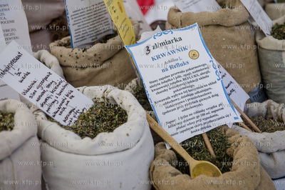 Gdańsk. Targ Węglowy. O Kuchnia! Festiwal gotowania.
17.09.2016
fot....