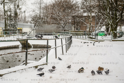 Gdańsk. Wrzeszcz. Park Uphagena.  08.02.2017 fot....