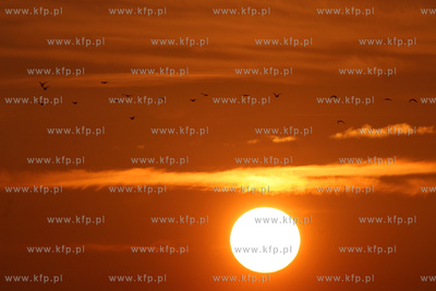 Zachod slonca nad plaza w Kolobrzegu. 18.06.2006 Fot....