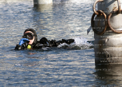 Dzien Eko Nurkowy zorganizowany w Gdyni zgromadzil...