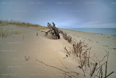 Plaza w Helu. 29.03.2015 Fot. Jan harb Sieminski/KFP
