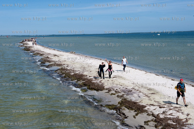 Marsz Sledzia odbywa sie Rybitwia Mielizna (Rewa Mew)...