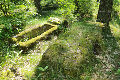 Cmentarz dawnej gminy żydowskiej w Skarszewach, założony...