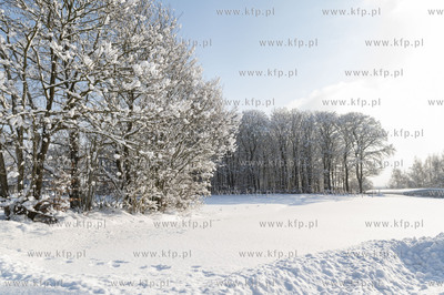 Zima w Dobrzewinie, wsi na Kaszubach w powiecie wejherowskim.10.02.2021...