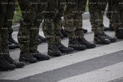 Uroczystości pod pomnikiem Martyrologii Polskich Mieszkańców...