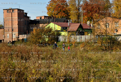 Zukowo. 21.10.2012 Fot. Maciej Kosycarz / KFP