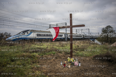 Pendolino przejezdza przez Lisewo Malborskie.
14.11.2019
fot....